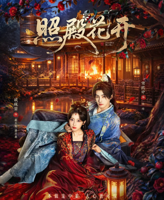 微短剧：照殿花开 (2026) 戚砚笛 / 肖凯中 动作 / 古装 4K 无删减版最新一集