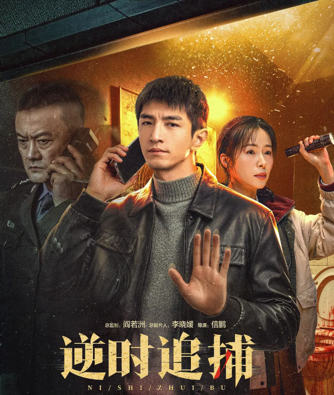 逆时追捕 (2026) 电视剧 金瀚 / 江一燕 悬疑 / 犯罪 4K 无删减版全集免费观看【夸克网盘】