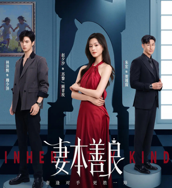 妻本善良 (2026) 赵夕汐 / 林泽辉主演悬疑短剧 4K全集免费观看